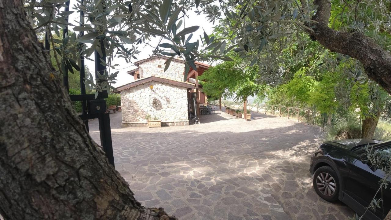 B&B Casale Roshlee Гуальдо-Каттанео Экстерьер фото